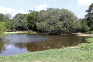 9411 FM 86 Highway, Lockhart, TX 78644