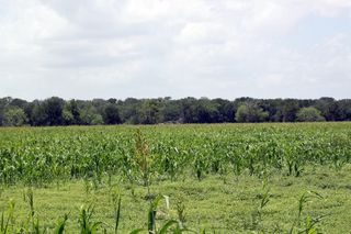 9411 FM 86 Highway, Lockhart, TX 78644