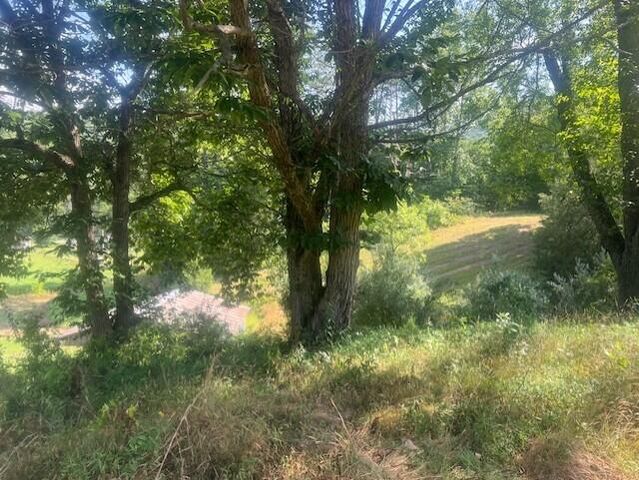 10625 Brushy Road Road, Pikeville, KY 41501