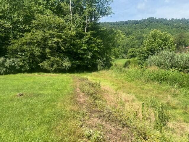 10625 Brushy Road Road, Pikeville, KY 41501