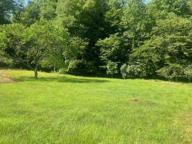 10625 Brushy Road Road, Pikeville, KY 41501