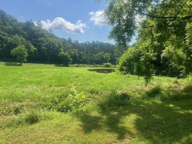 10625 Brushy Road Road, Pikeville, KY 41501