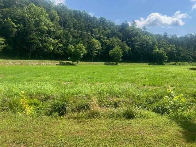 10625 Brushy Road Road, Pikeville, KY 41501