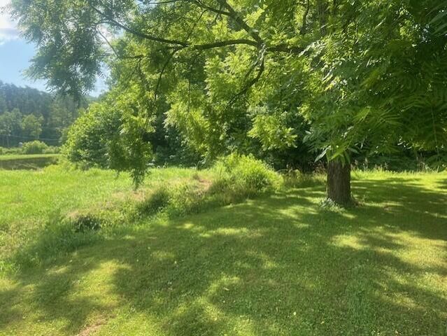 10625 Brushy Road Road, Pikeville, KY 41501