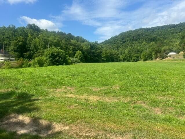 10625 Brushy Road Road, Pikeville, KY 41501