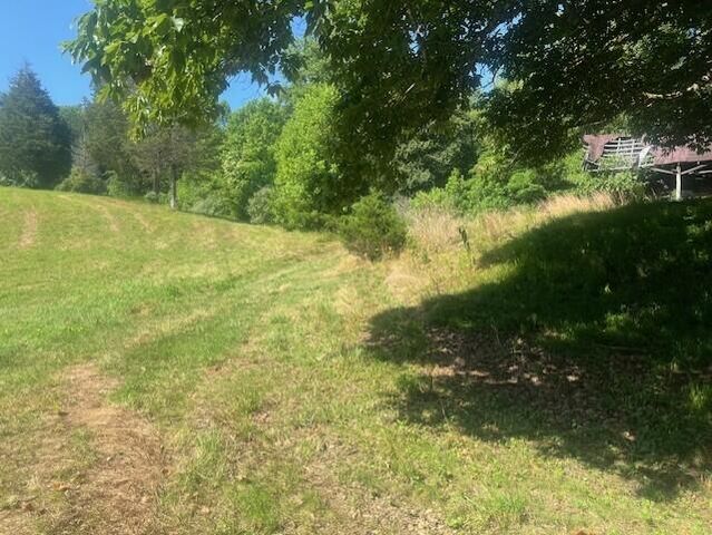 10625 Brushy Road Road, Pikeville, KY 41501