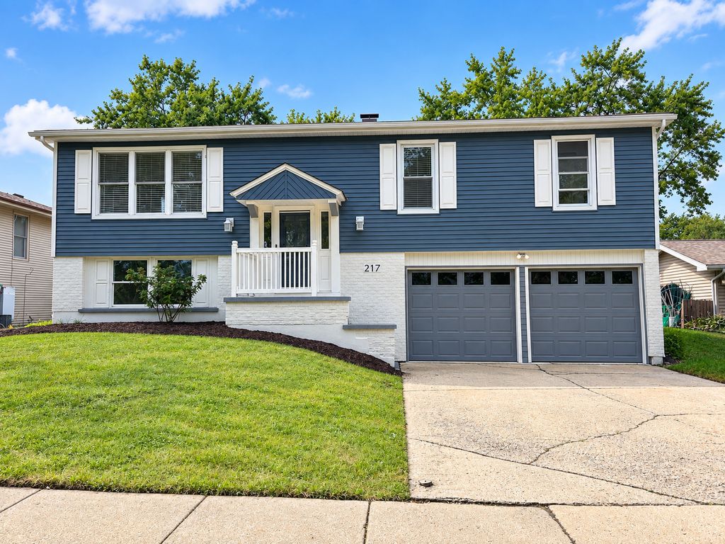 217 N Schmidt Road, Bolingbrook, IL 60440