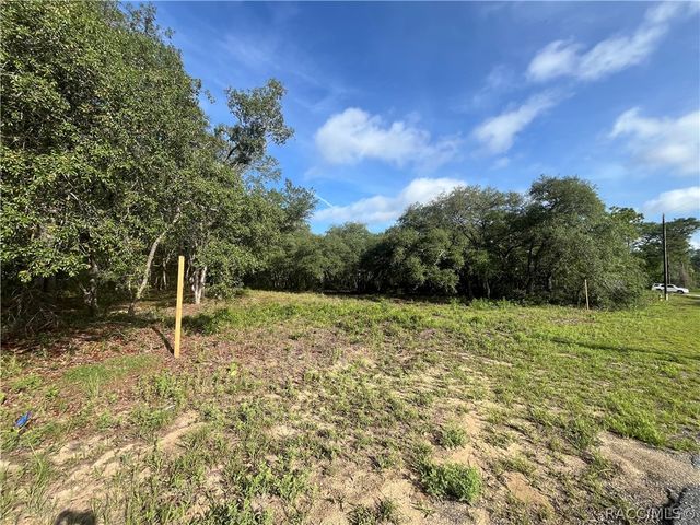 6990 N Lime Drive, Citrus Springs, FL 34433