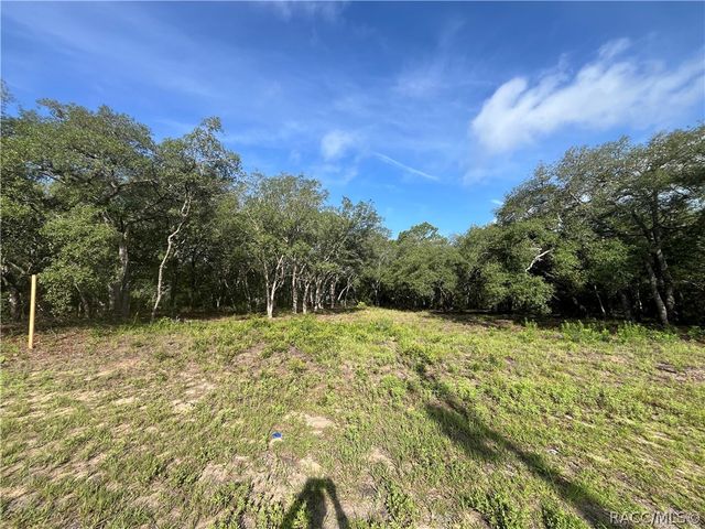 6990 N Lime Drive, Citrus Springs, FL 34433