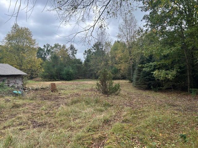 8710 Jouppi Road, Kaleva, MI 49645