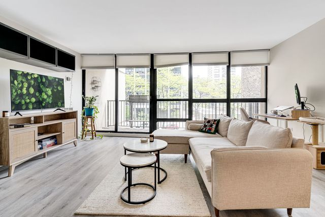 1540 N LaSalle Drive 201, Chicago, IL 60610