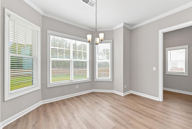 2360 Hadley Crossing, Chapin, SC 29036