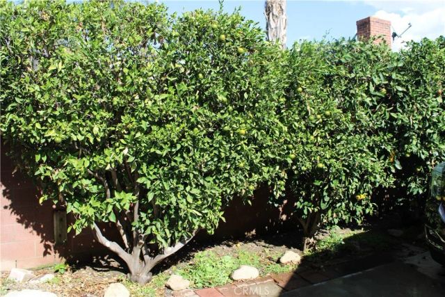 312 W I, Ontario, CA 91762