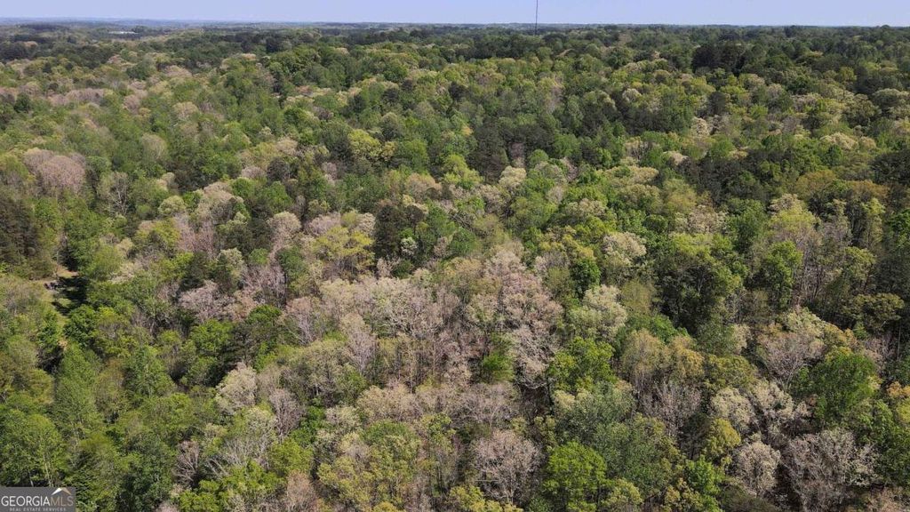 0 Crane Mountain Road, Toccoa, GA 30577 — photo 3