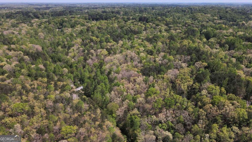 0 Crane Mountain Road, Toccoa, GA 30577 — photo 4