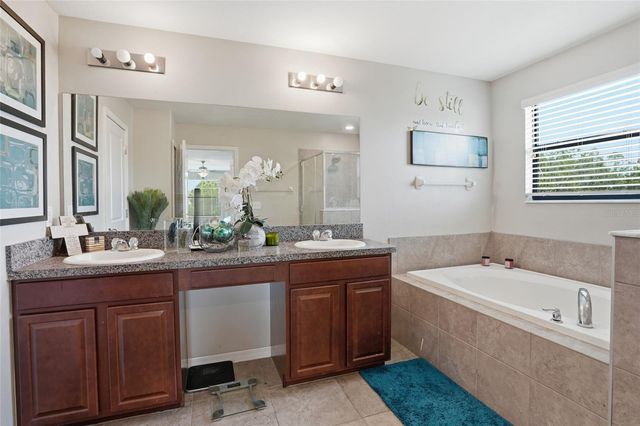 6563 PADEN WHEEL STREET, Zephyrhills, FL 33541