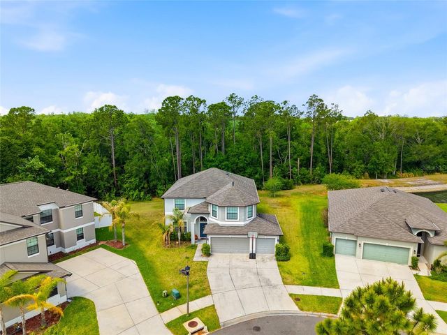 6563 PADEN WHEEL STREET, Zephyrhills, FL 33541
