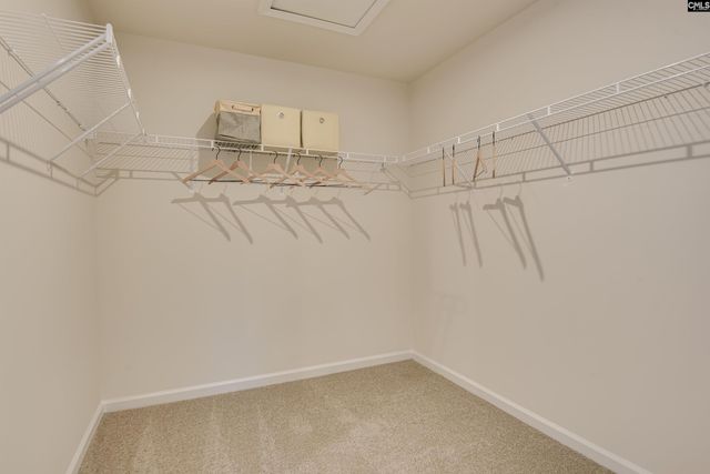 315 Old Slater Drive, Columbia, SC 29209
