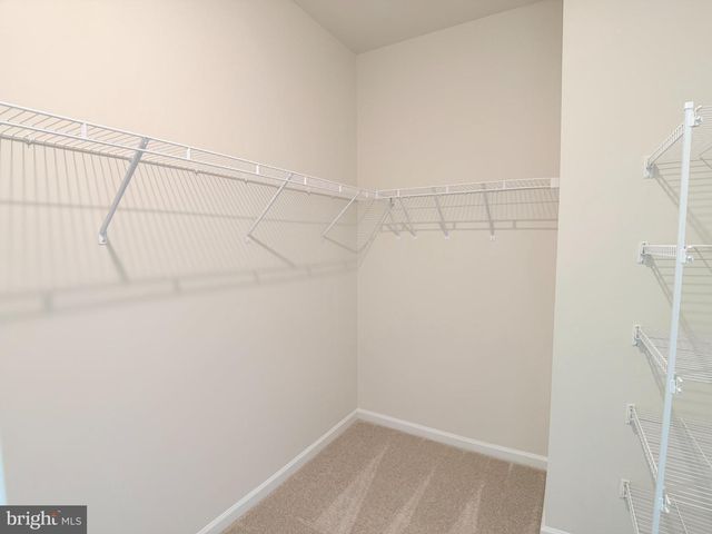 136 SWANSONG PL, Winchester, VA 22603