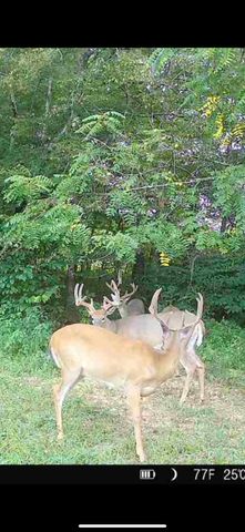 1510 State Hwy 865, Eubank, KY 42567