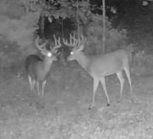 1510 State Hwy 865, Eubank, KY 42567
