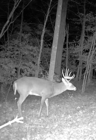 1510 State Hwy 865, Eubank, KY 42567