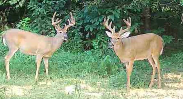 1510 State Hwy 865, Eubank, KY 42567