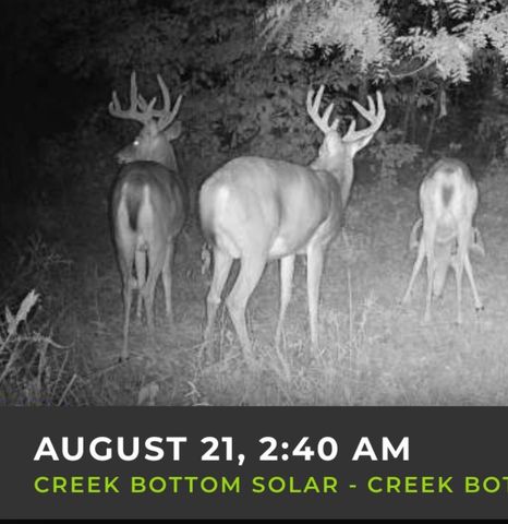1510 State Hwy 865, Eubank, KY 42567