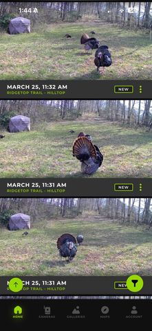 1510 State Hwy 865, Eubank, KY 42567