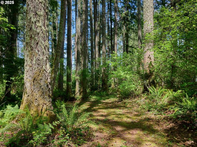 23456 S SCHIEFFER Rd, Colton, OR 97017