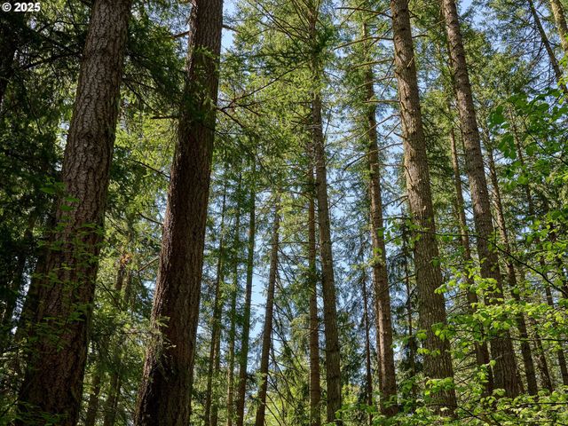 23456 S SCHIEFFER Rd, Colton, OR 97017