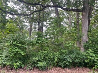 7302 W 129th Avenue, Cedar Lake, IN 46303