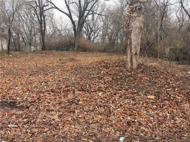 1314 E 81st Street, Kansas City, MO 64131