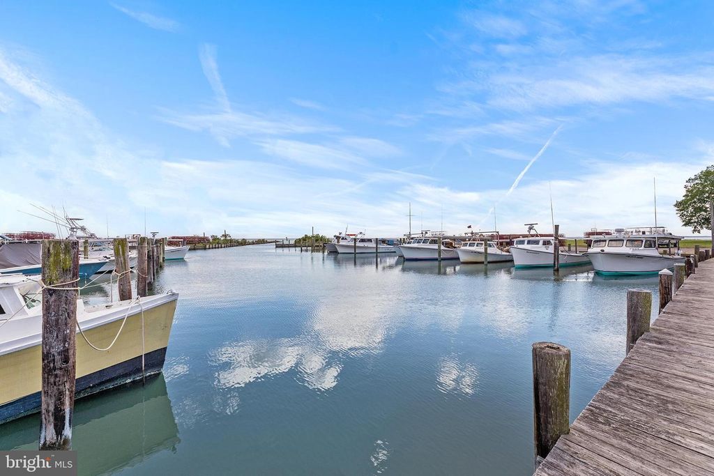 Image 25 of property listing at 107 TREQUASSIN DR, Stevensville, MD 21666