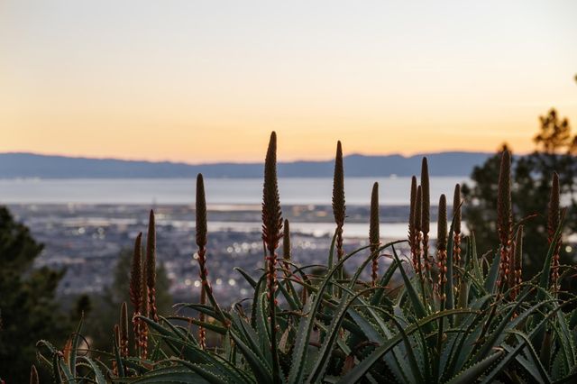 298 STANTONVILLE DRIVE, Oakland, CA 94619