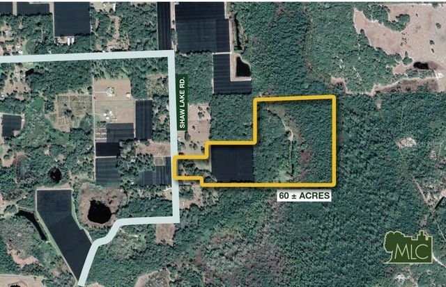 SHAW LAKE ROAD, Pierson, FL 32180
