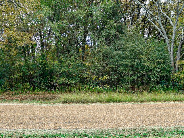 116 Seis Hombres, Trinidad, TX 75163