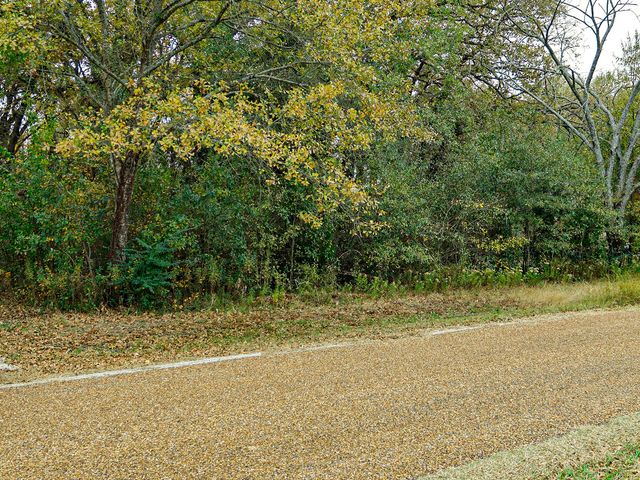 116 Seis Hombres, Trinidad, TX 75163