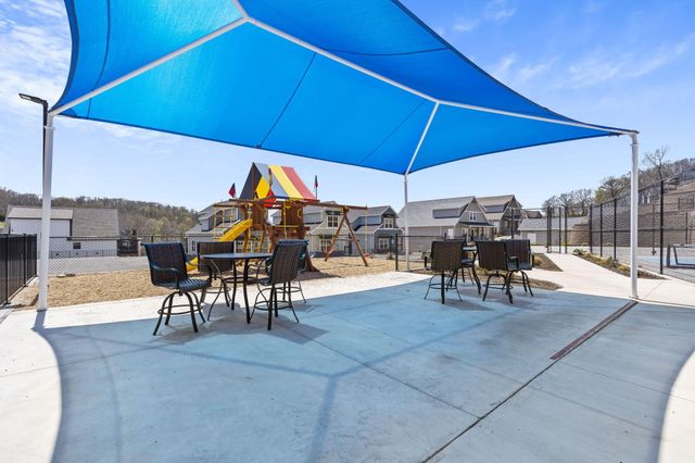 395 Majestic Drive, Branson, MO 65616