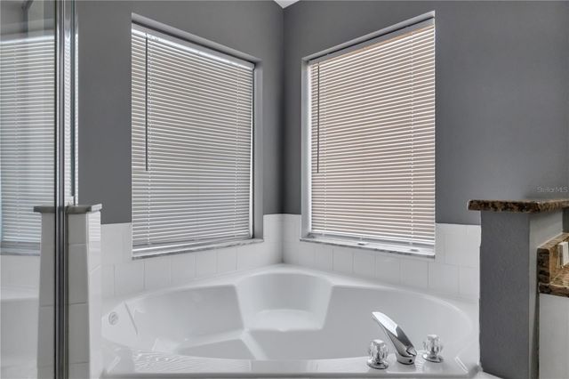 247 OAK CHASE PLACE, Davenport, FL 33896