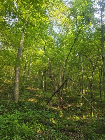 2521 Bald Hill Road, Carlisle, KY 40311