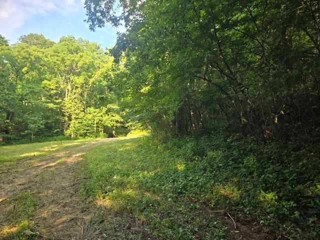 2521 Bald Hill Road, Carlisle, KY 40311