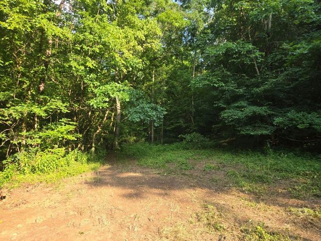 2521 Bald Hill Road, Carlisle, KY 40311