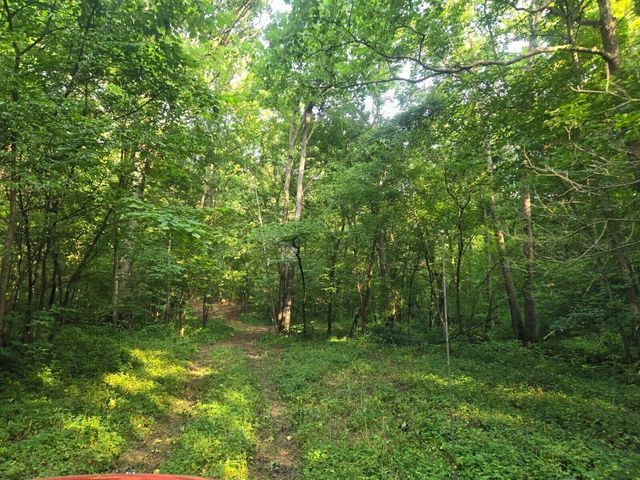 2521 Bald Hill Road, Carlisle, KY 40311