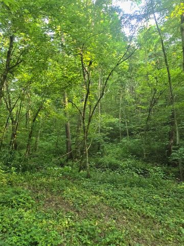 2521 Bald Hill Road, Carlisle, KY 40311