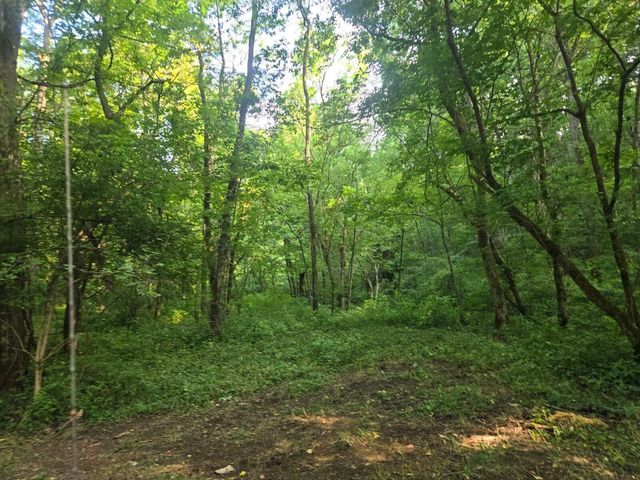 2521 Bald Hill Road, Carlisle, KY 40311