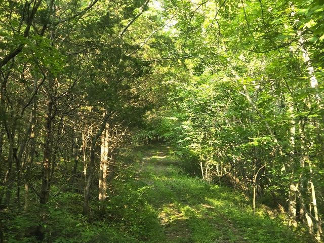 2521 Bald Hill Road, Carlisle, KY 40311