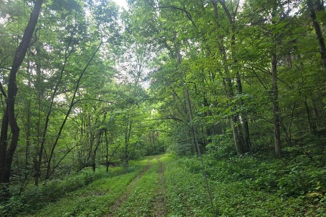 2521 Bald Hill Road, Carlisle, KY 40311