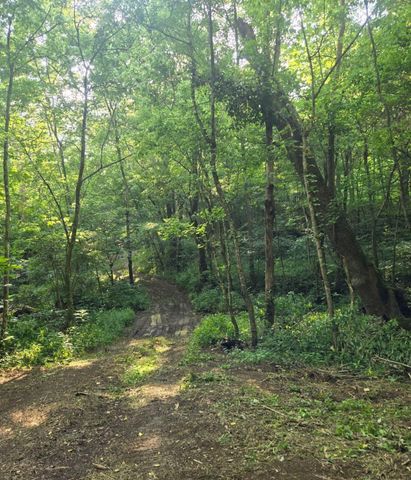 2521 Bald Hill Road, Carlisle, KY 40311