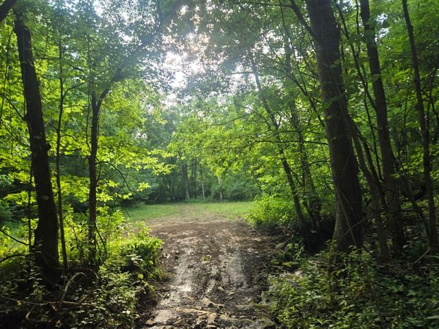 2521 Bald Hill Road, Carlisle, KY 40311